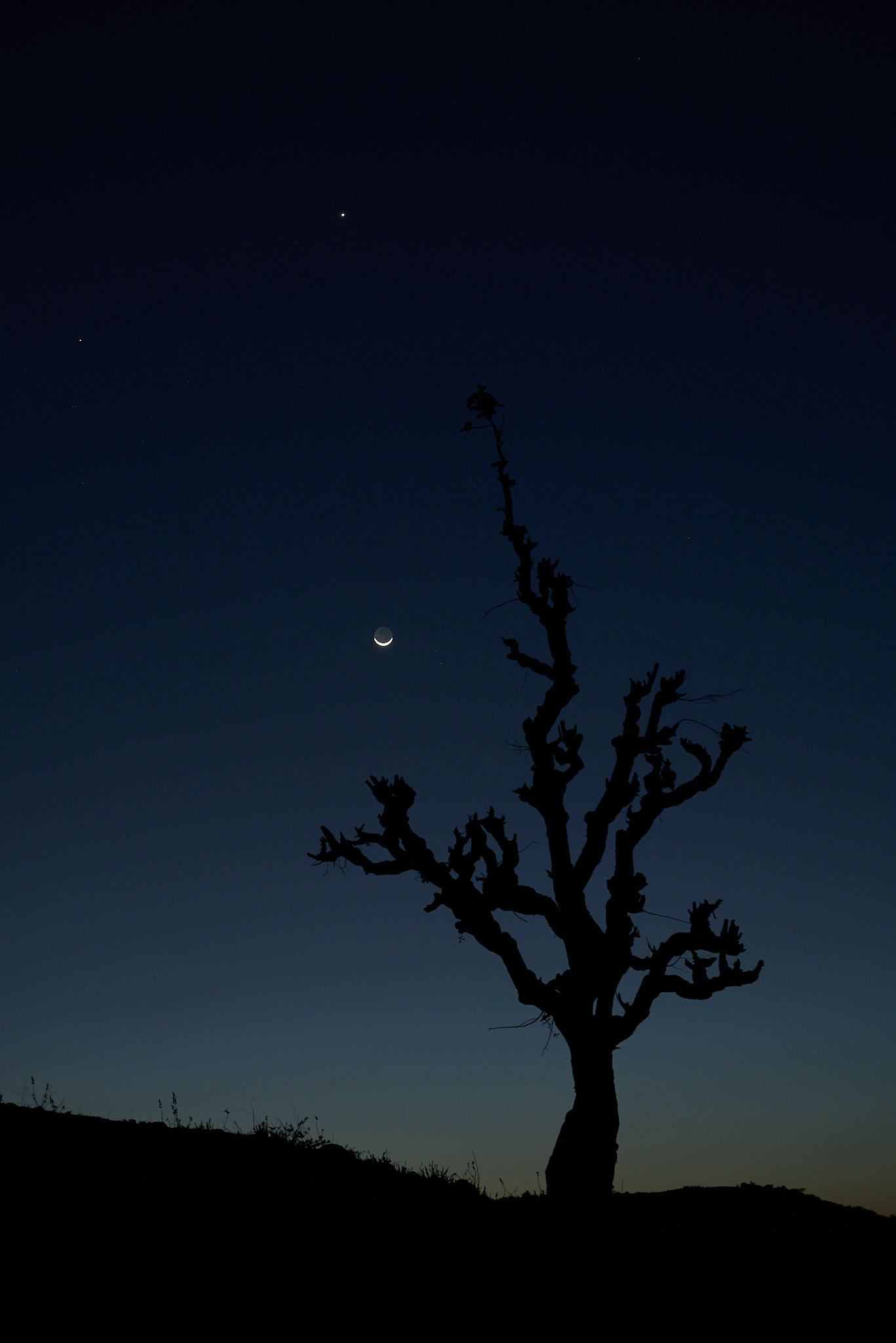 New Moon and Venus