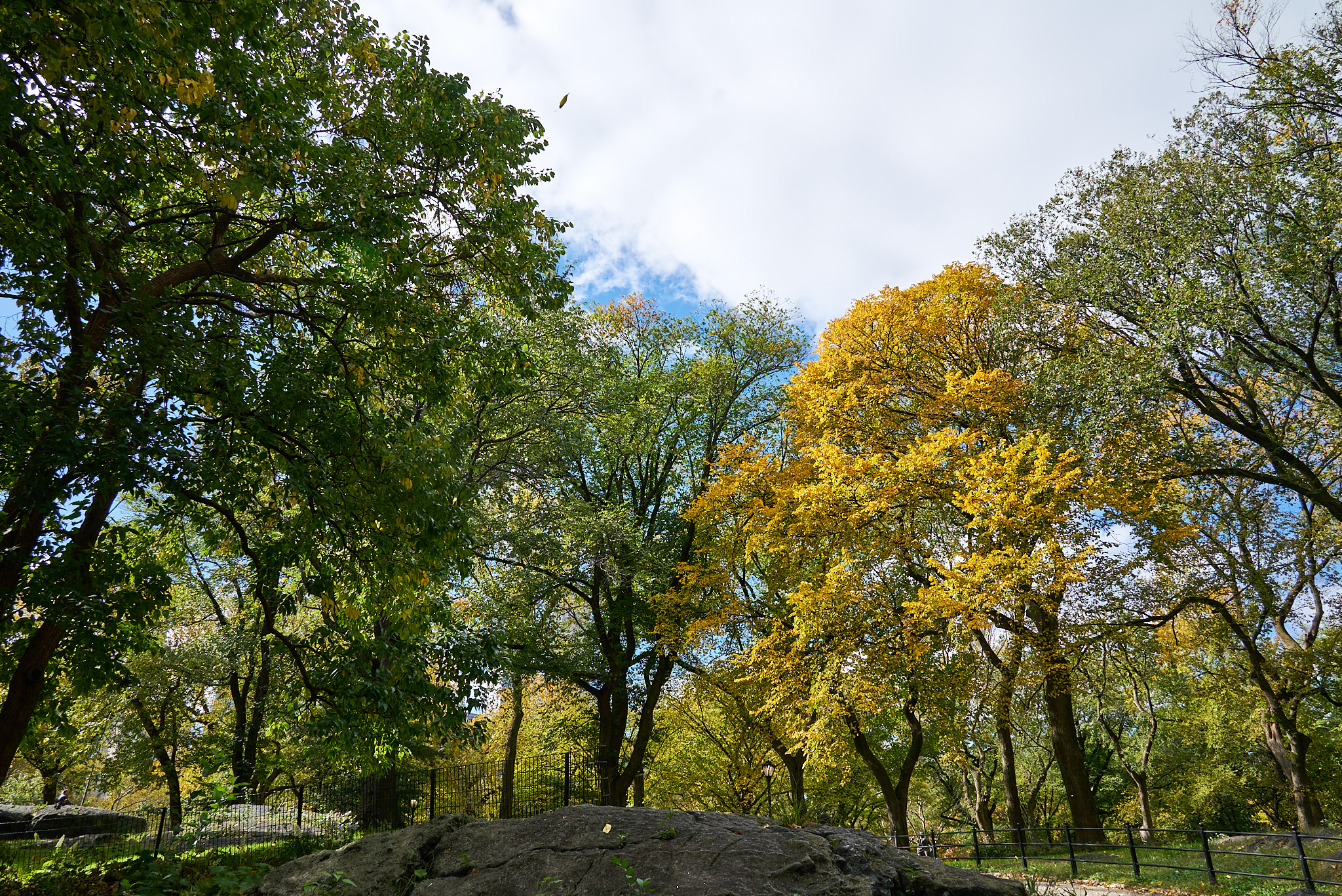 Central Park