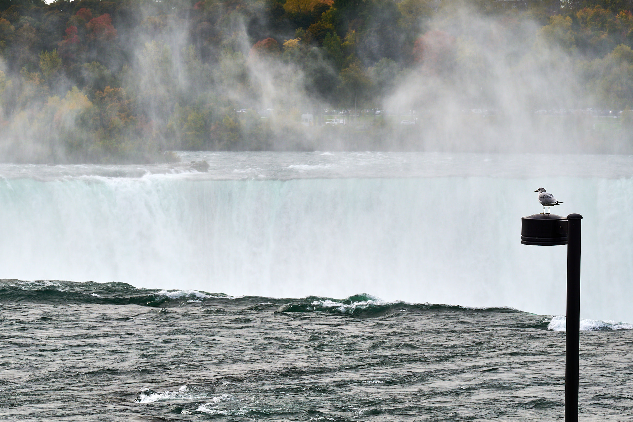 Niagara Falls